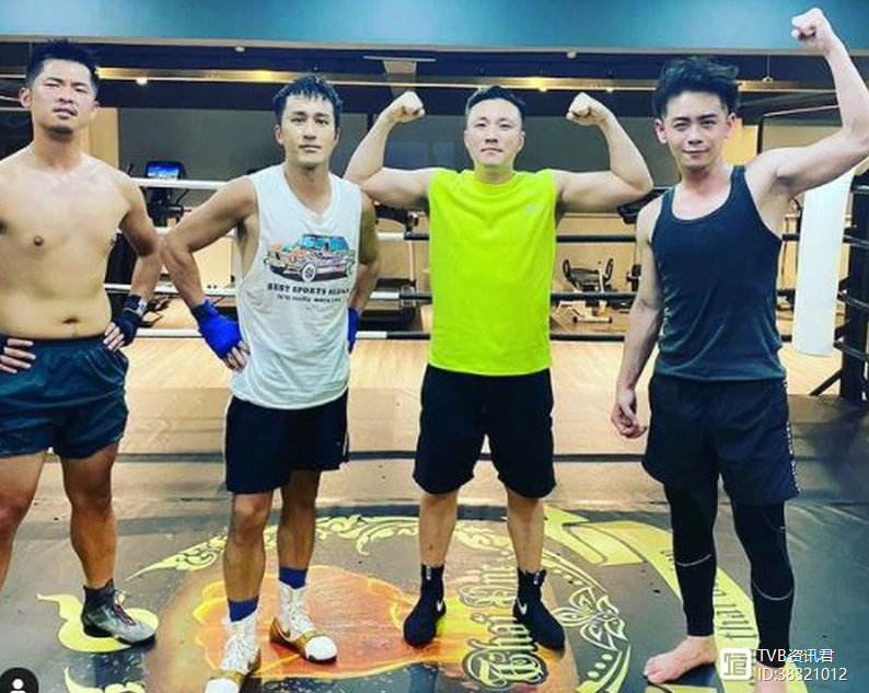 即时盘口明星选手受伤退赛，引发热议