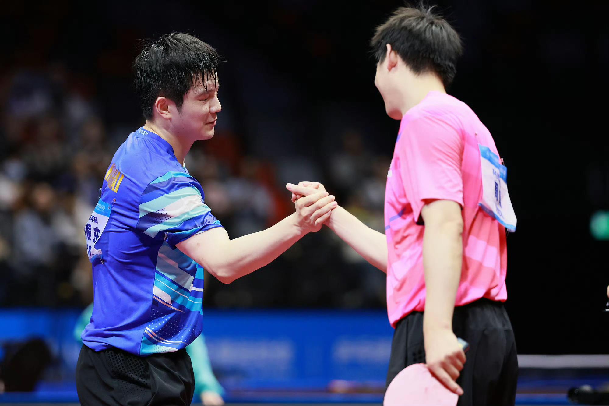 葡萄牙队横扫瑞典队，樊振东统治全场