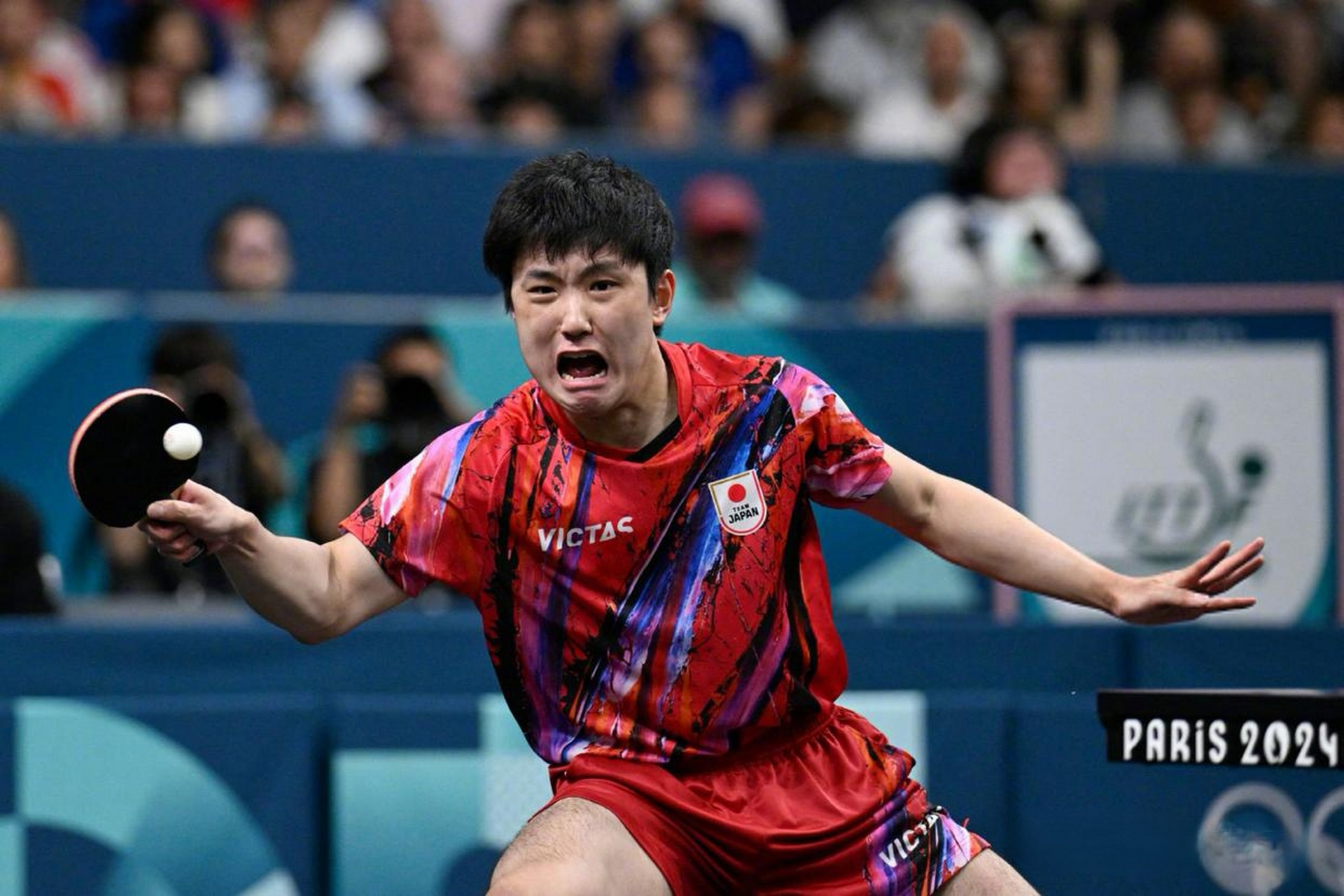 中国队绝杀法国队，张本智和点燃赛场