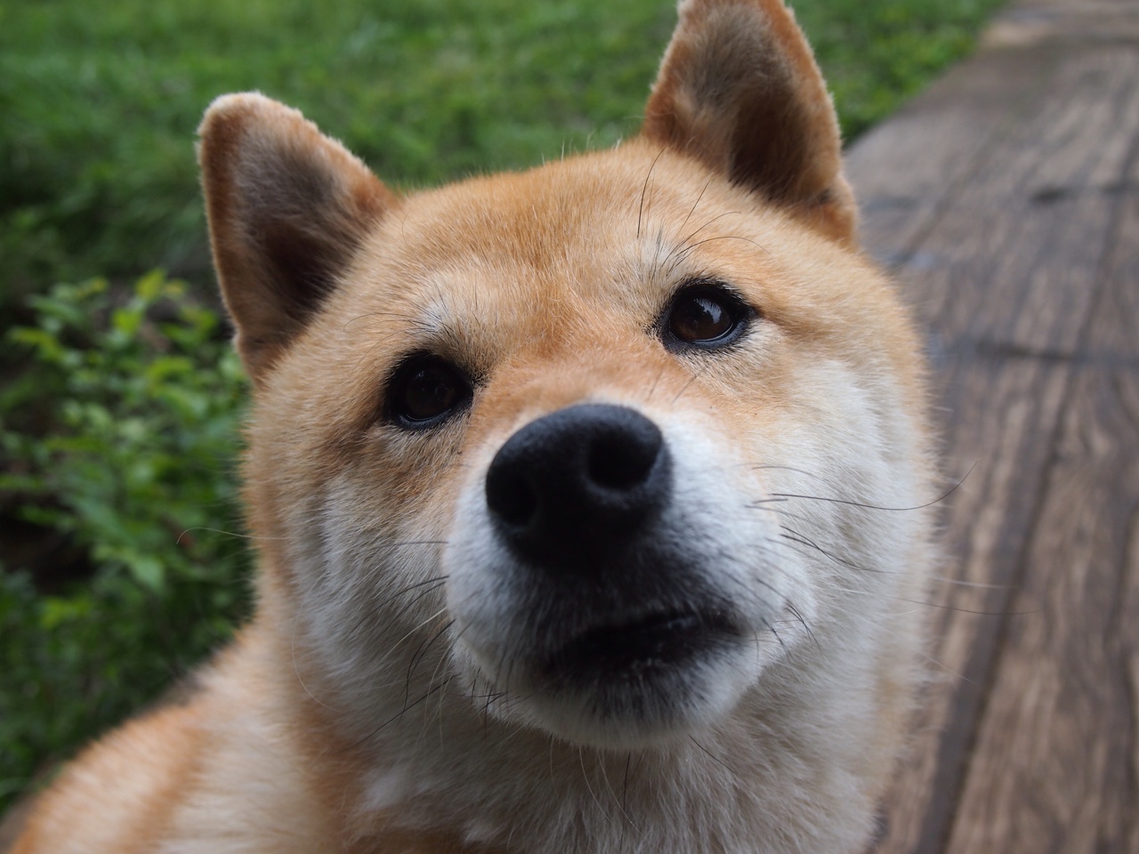 风暴眼与定盘星,当非卖品切特用三双为雷霆锁定晋级