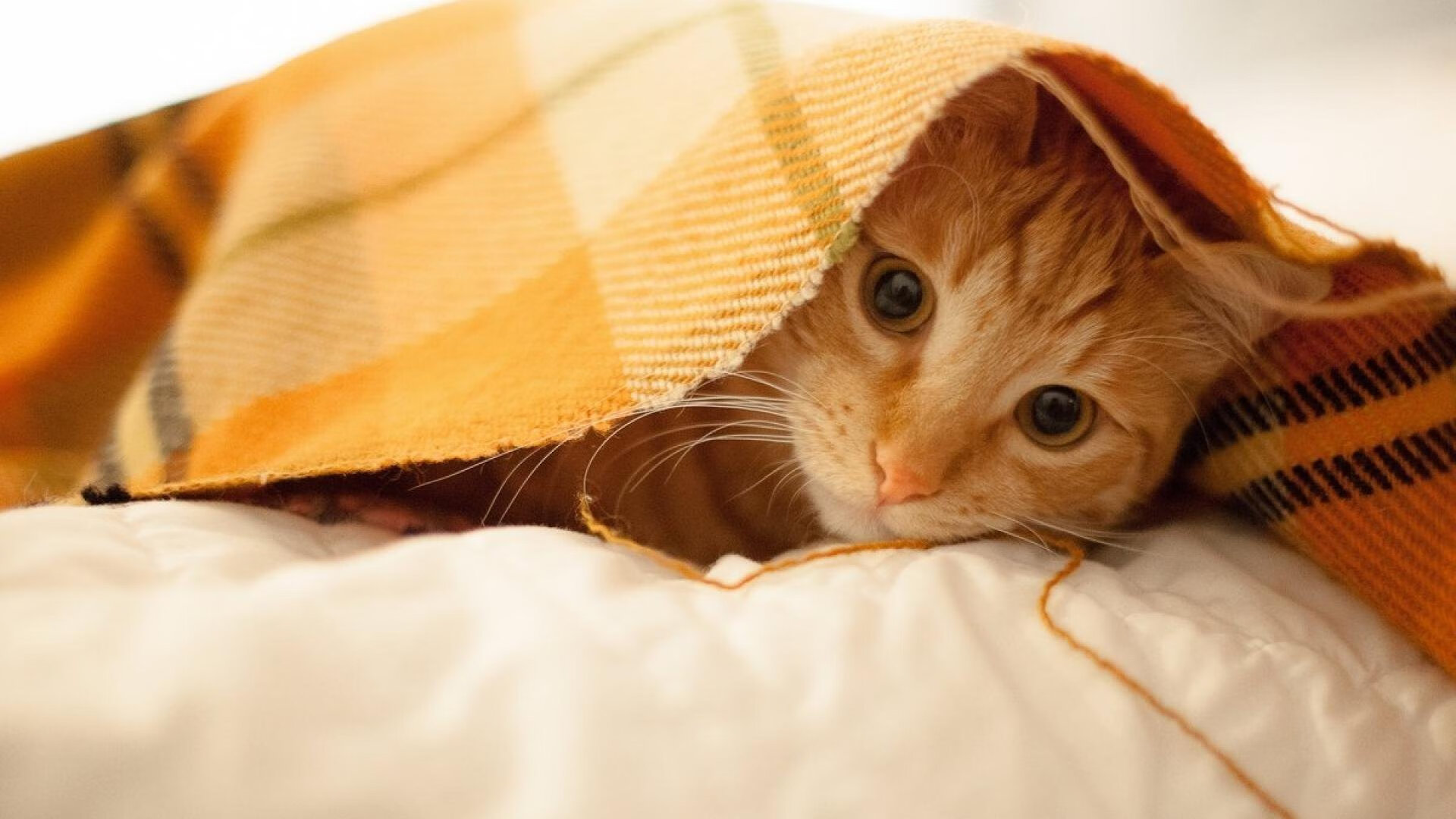 镜面两端，杜兰特用最熟悉的方式刺穿太阳，史诗数据背后的篮球幽灵