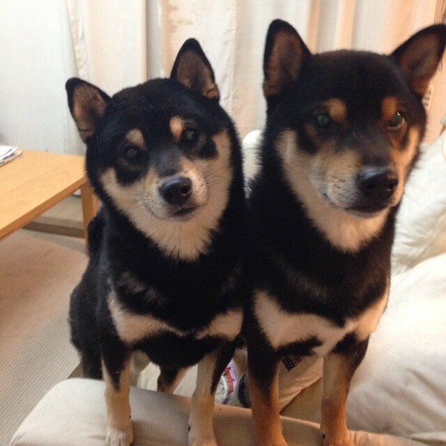 赛场上的米切尔时刻，跨领域关键先生的胜利交响