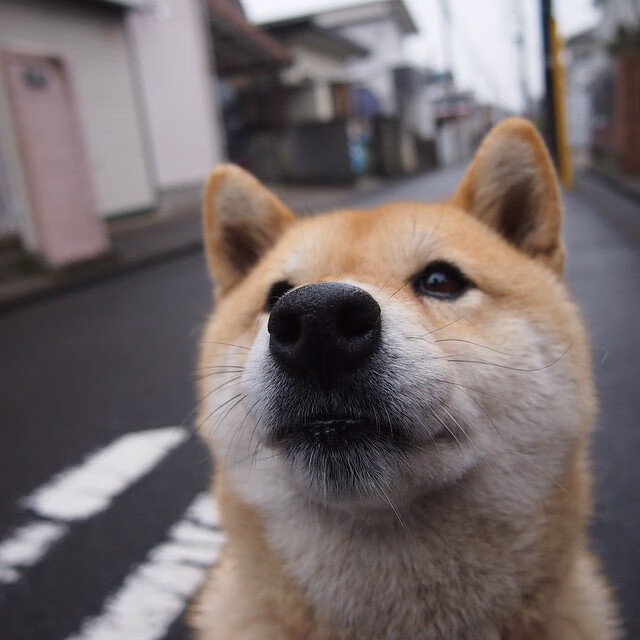（新闻焦点式）