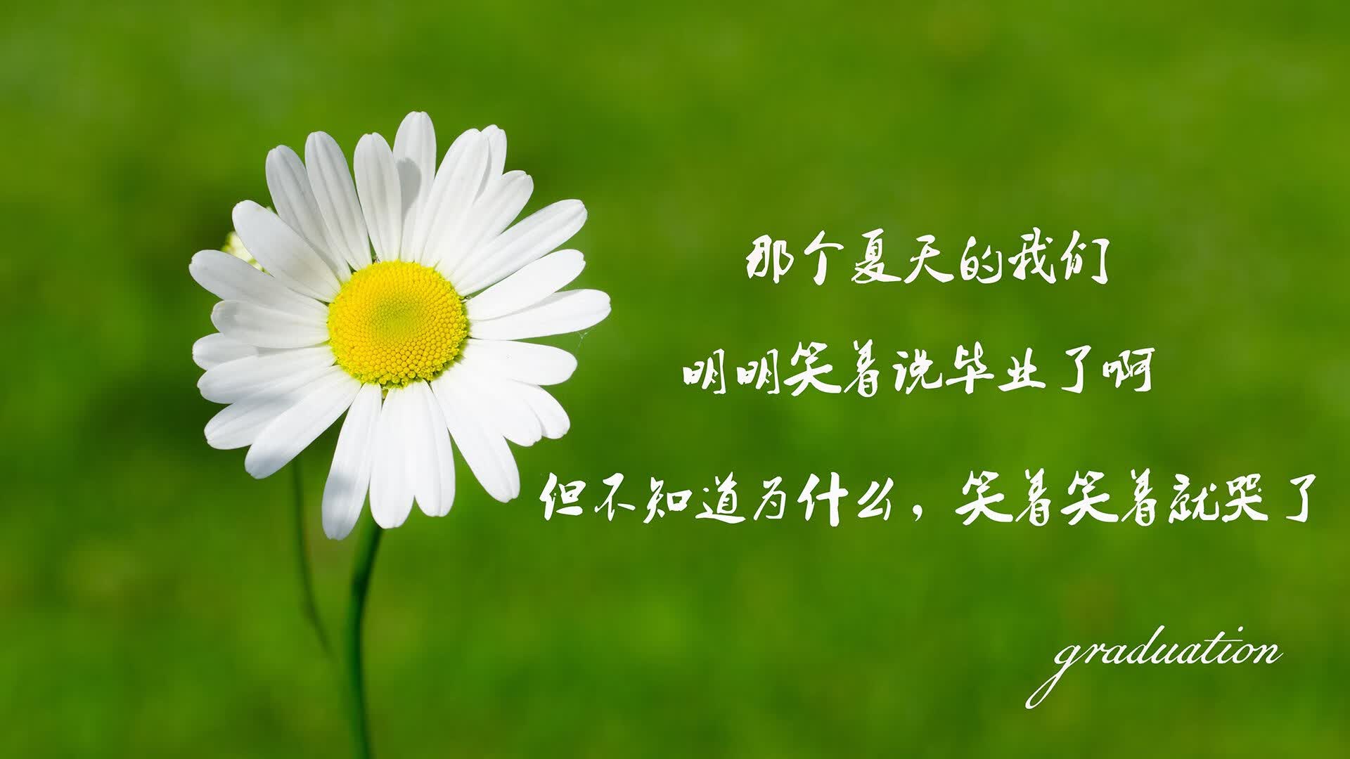 归化神锋咆哮，苏亚雷斯引领韩国风暴，比利时防线崩溃—2026世界杯H组焦点战纪实