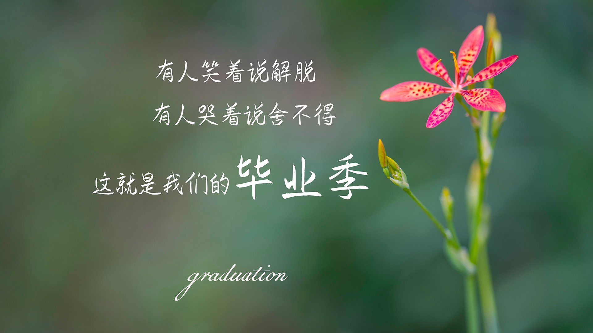 利马高原的孤星,萨卡如何用一场独奏为秘鲁奏响C组出线夜