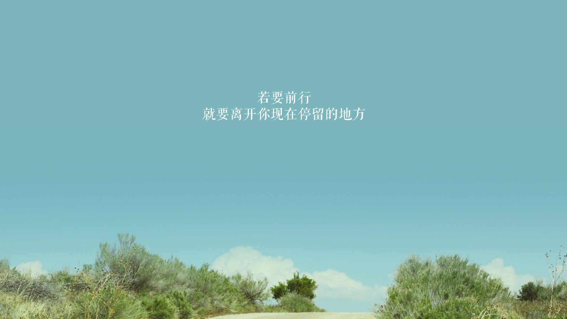 致命连线,坎塞洛妙传定乾坤,波兰三狮复仇战惊魂2026
