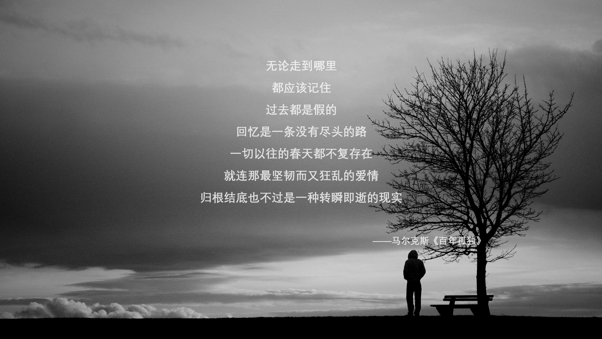 奇迹的悖论，当越南的草根足球吞噬桑巴艺术，莱万在废墟上独自闪耀