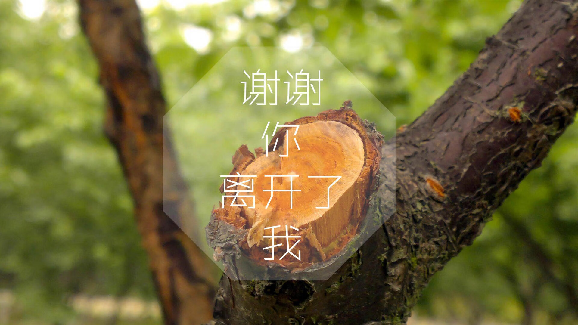 唯一闪电,智利致命反击击溃秘鲁,吉鲁书写D组唯一答案