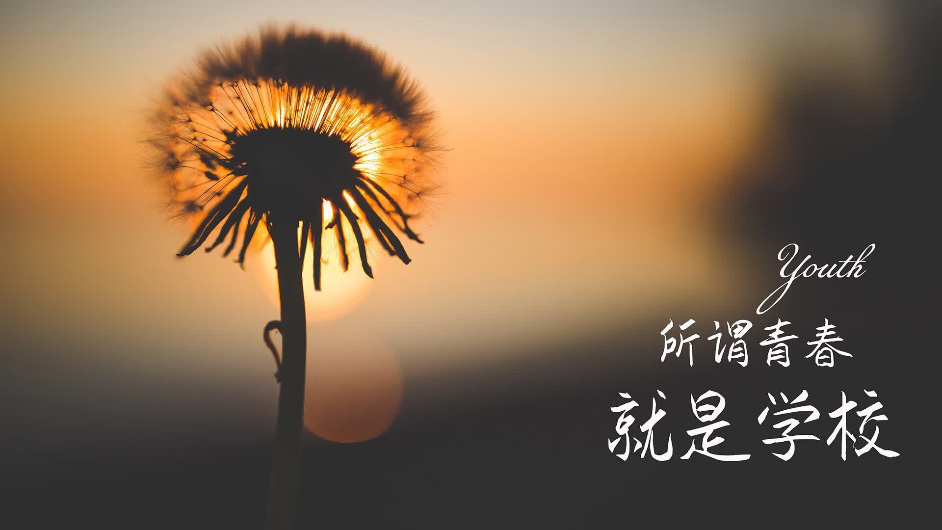 东方武士的战术围城,与孤胆英雄的哨声绝唱,2026世界杯B组,当日本压制意大利,布罗佐维奇铸就压哨神话